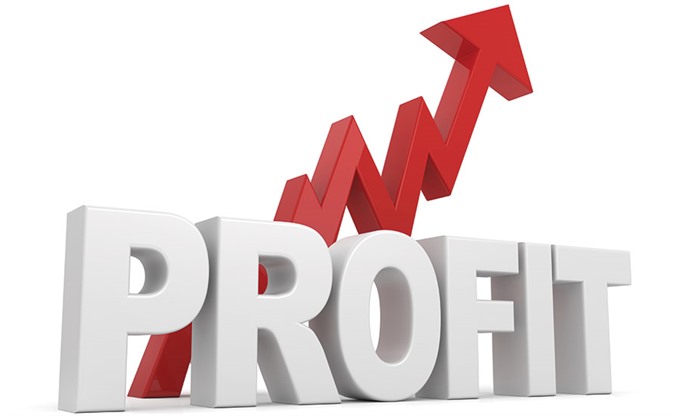 webpages generating profit